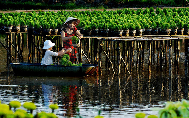 CRUISE TO MEKONG DELTA FROM SAIGON BY SPEEDBOAT